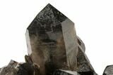 Smoky Quartz Crystal Cluster ( lbs) - Brazil #120467-4